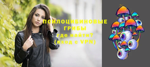 скорость mdpv Белокуриха